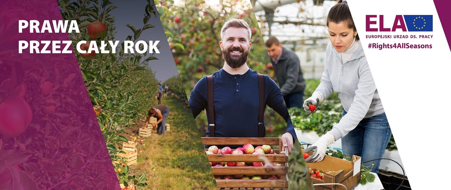 Logo programu EURES PRAWA PRZEZ CAŁY ROK